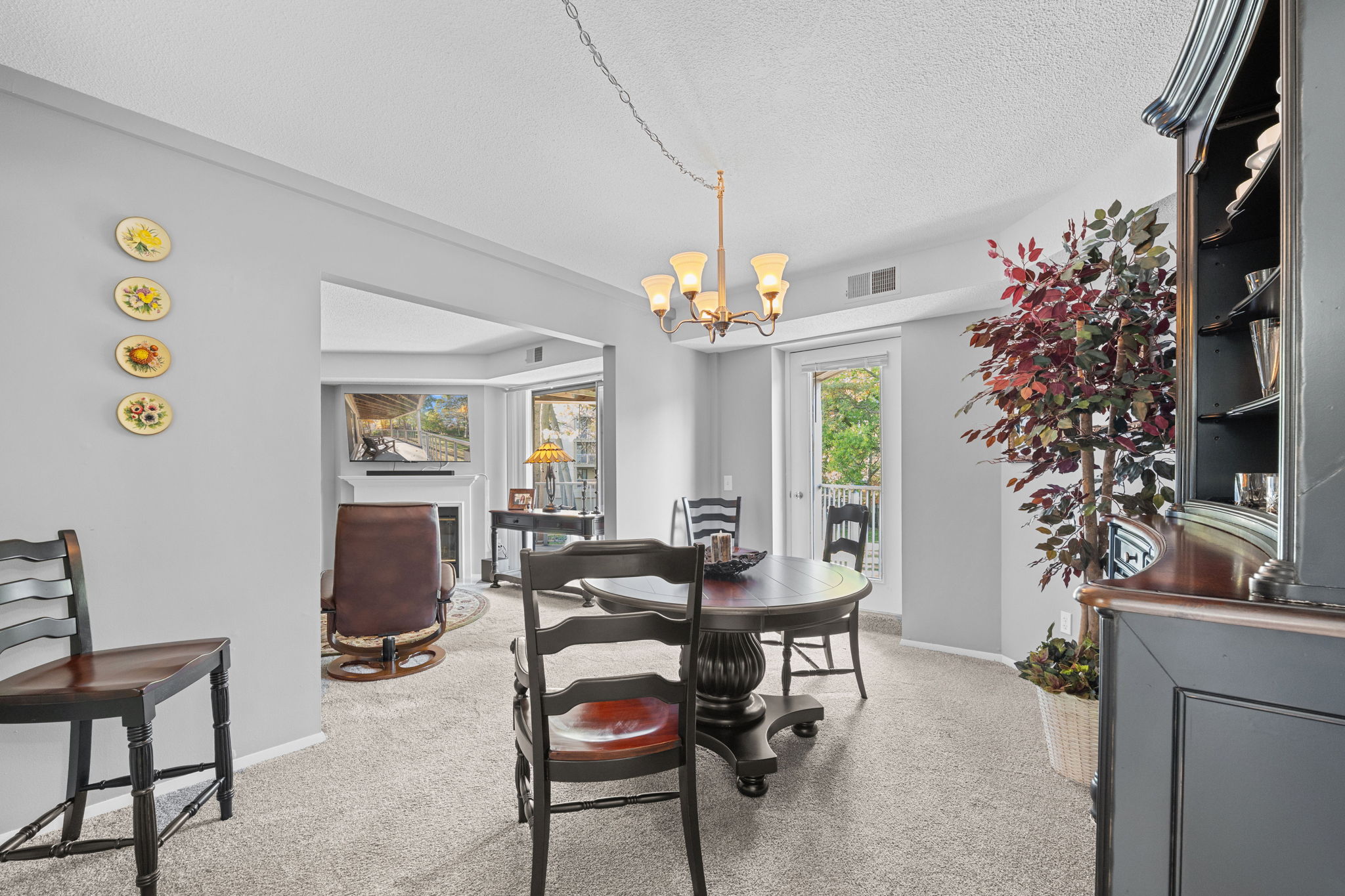 8-web-or-mls-Apt 210__07