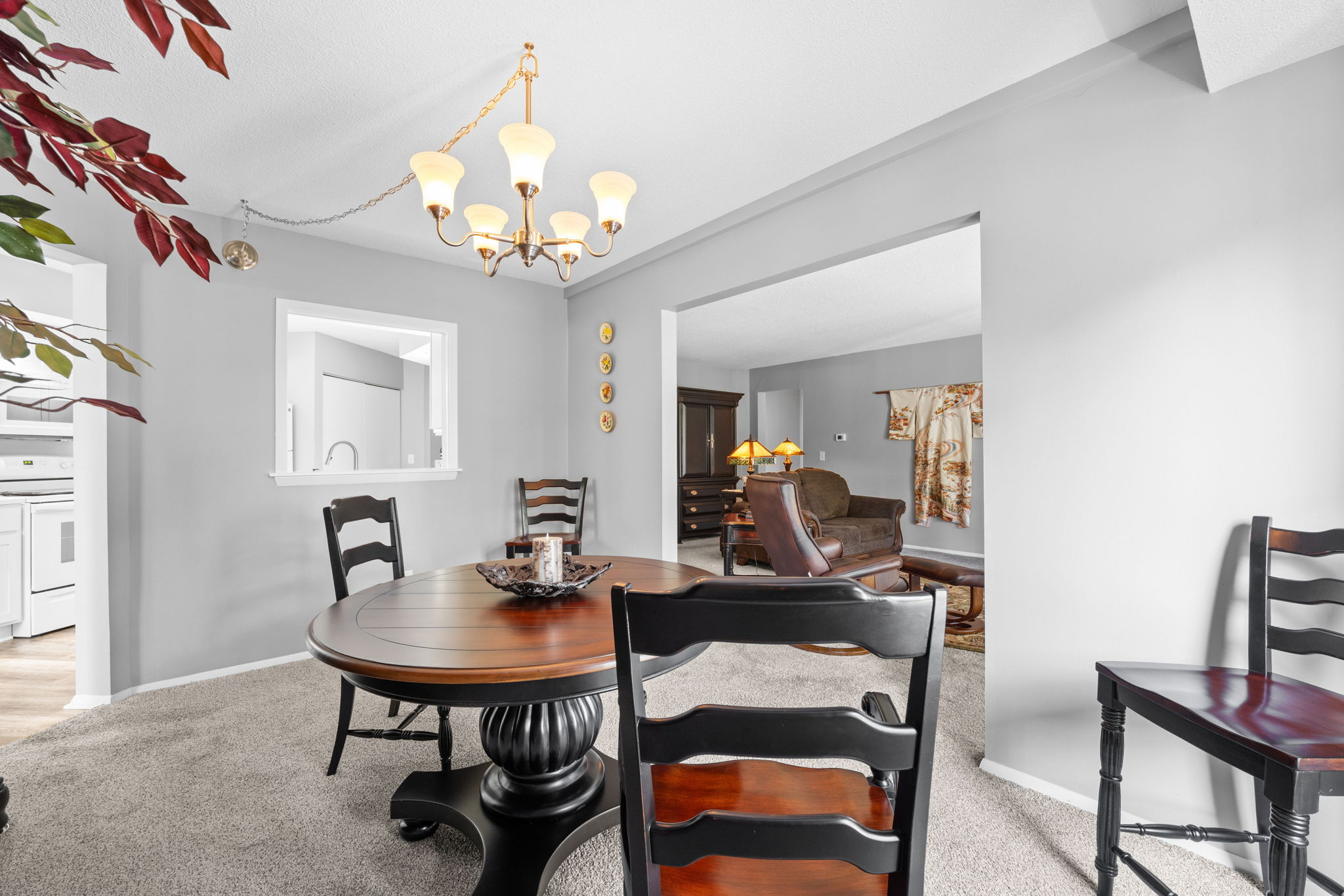 9-web-or-mls-Apt 210__08